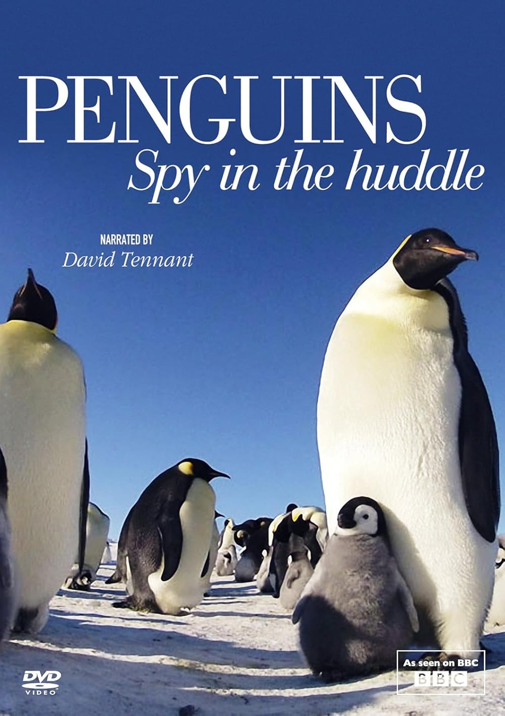Penguins: Spy in the Huddle