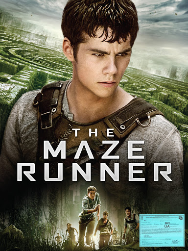 The Maze Runner