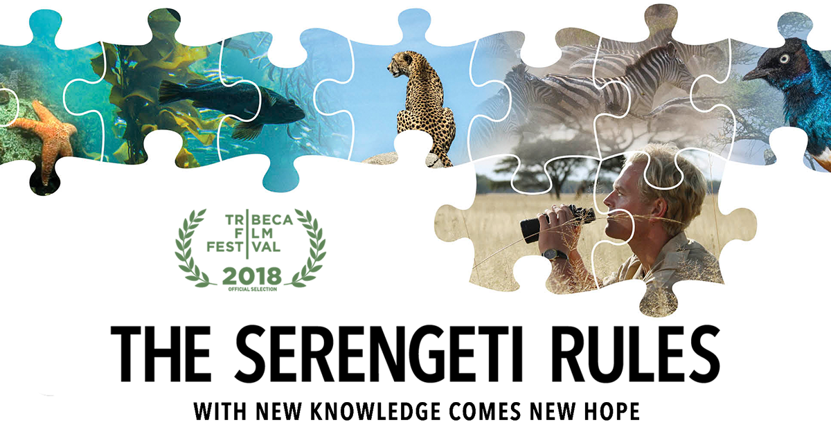 The Serengeti Rules